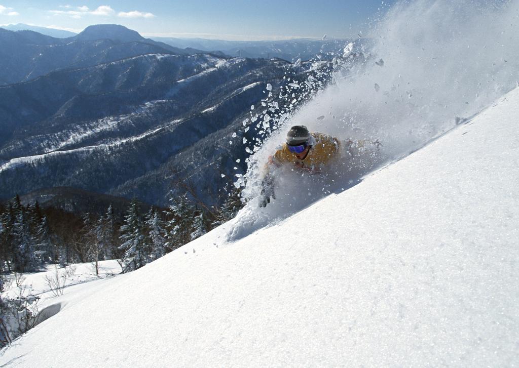 Hotel Resort Inn Niseko 3*